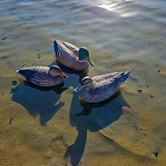 Duck decoys, game winners - Picture 2 of 10